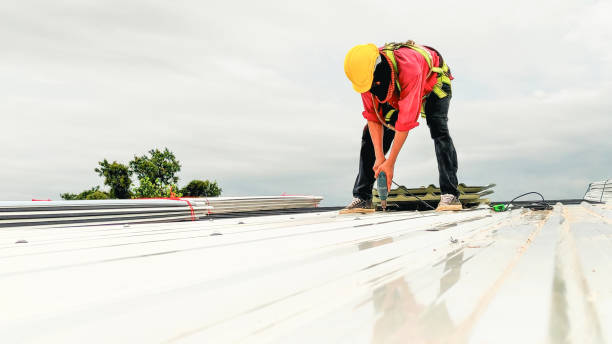 Best Solar Panel Roofing Installation  in Macon, GA
