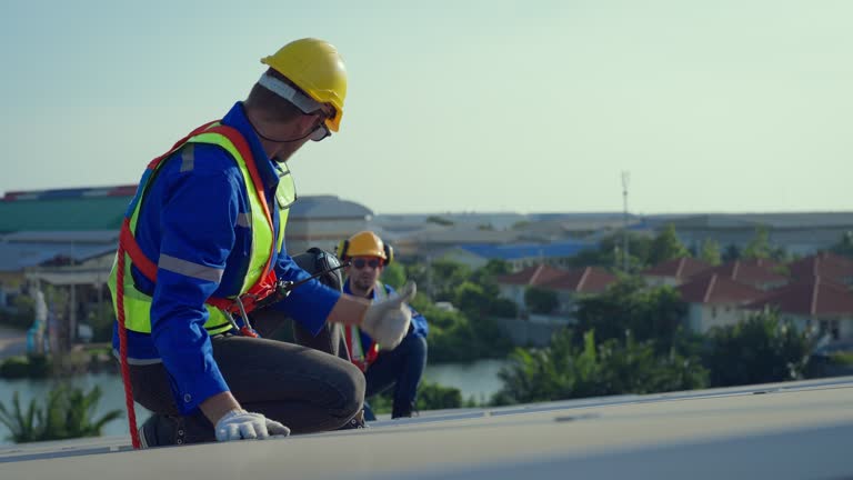 Best Sheet Metal Roofing  in Macon, GA