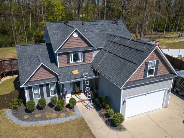 Best Roof Moss and Algae Removal  in Macon, GA