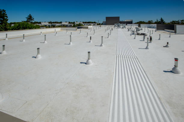Best Cold Roofs  in Macon, GA